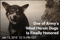 One of Army&#39;s Most Heroic Dogs Is Finally Honored