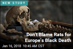 In Case of Black Death, Rats May Be Innocent