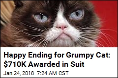 Happy Ending for Grumpy Cat: $701K Awarded in Suit