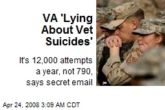 VA 'Lying About Vet Suicides'
