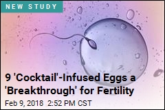 A First-Time Feat: Human Eggs Grown to Maturity in Lab