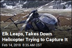 A Leaping Elk Brought Down This Helicopter