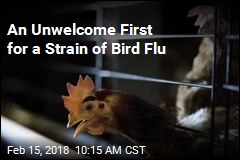 Bird Flu Strain Avoided Humans&mdash;Until Now