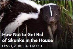 Guy Burns His House Down Trying to Get Rid of Skunks