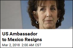 US Ambassador to Mexico Resigns