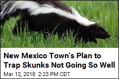 New Mexico Town&#39;s Problem: Skunk Carcasses