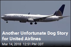 Dog Was Bound for Missouri. United Sent It to Japan