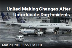 United Is Hitting Pause on Pet Cargo Flights