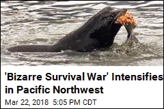 &#39;Bizarre Survival War&#39; Intensifies in Pacific Northwest