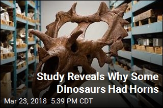 Study Reveals Why Some Dinosaurs Had Horns