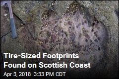 Tire-Sized Footprints Found on Scottish Coast