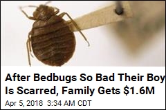 Family Gets Record Award in Bedbug Lawsuit