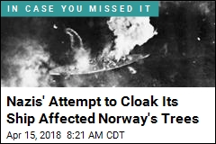 Nazis&#39; Effort to Hide Ship Affected Norway&#39;s Trees