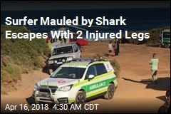Surfer Mauled by Shark Escape With 2 Injured Legs