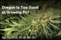 Oregon Is Too Good at Growing Pot