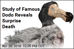 World&#39;s Most Famous Dodo Met Surprise Demise