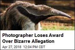 Photo Contest Win Snatched Due to &hellip; Stuffed Anteater?