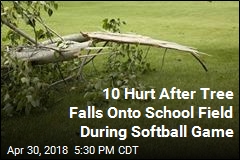 Tree Falls Onto School Field During Softball Game, Hurting 10