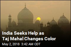 As Taj Mahal Turns Green, Government Accused of Not Caring