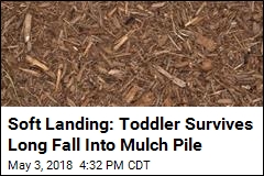 Girl Plunges Nearly 5 Floors Into Mulch Pile, Survives