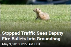 Stopped Traffic Sees Deputy Fire Bullets Into Groundhog