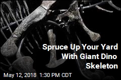 Spruce Up Your Yard Giant Dinosaur Skeleton