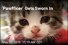 Michigan Cops Pick &#39;Pawfficer&#39;