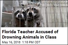 Ag Teacher Accused of Drowning &#39;Nuisance&#39; Animals