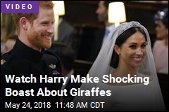 Fake Royal Wedding Dialogue Has Internet Cackling