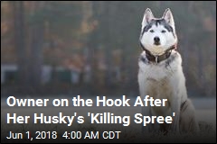 Owner Charged After Husky Kills Slew of Animals