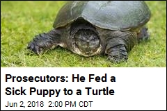Idaho Teacher Who Fed Puppy to Turtle Charged With Cruelty