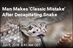 Decapitated Rattlesnake Almost Kills Texas Man