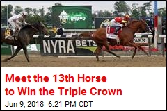 Meet the 13th Horse to Win the Triple Crown