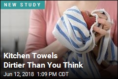 Your Kitchen Towel Is Grosser Than You Know