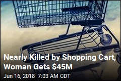 Woman Gets $45M Over Youths&#39; Shopping Cart Attack