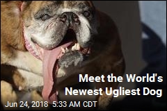 The World Has a New Ugliest Dog