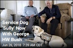 Service Dog &#39;Sully&#39; Now With George HW Bush