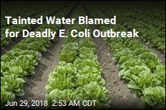 Tainted Water Blamed for Deadly E.Coli Outbreak