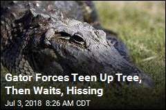 Alligator Trees a Teen, Deputy Comes to Rescue
