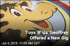 Zoo Has Job Offer for Unemployed Toys &#39;R&#39; Us Mascot
