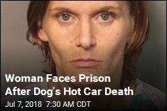Woman Could Face Life in Prison for Dog&#39;s Hot Car Death