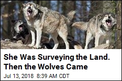 Terrifying 911 Call: I&#39;m in a Tree Surrounded by Wolves