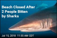 2 People Bitten by Sharks Over a Few Minutes