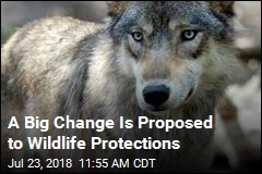 After 45 Years, Endangered Species Act May Be in Trouble