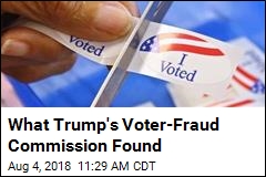 What Trump&#39;s Voter-Fraud Commission Found
