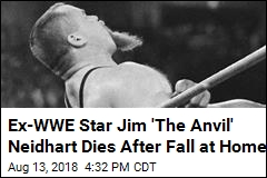 Ex-WWE Star Jim &#39;The Anvil&#39; Neidhart Dies After Fall at Home