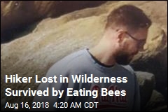 Lost Mt. St. Helens Hiker Ate Berries, Bees to Survive
