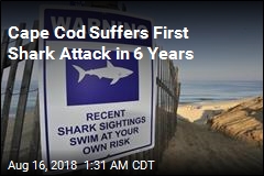 Swimmer Injured in Cape Cod Shark Attack