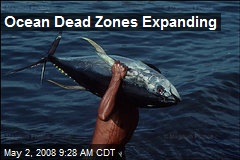Ocean Dead Zones Expanding