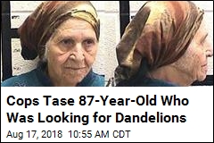 Elderly Woman Hunting for Dandelions Ends Up Tased